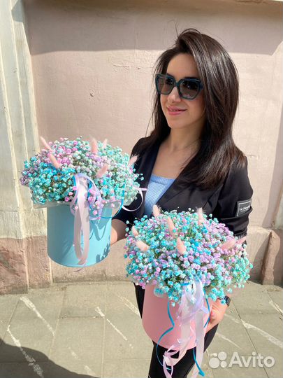 Радужная гипсофила