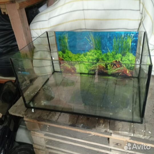 Аквариум