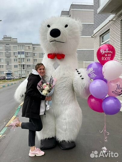 Поздравление белого медведя