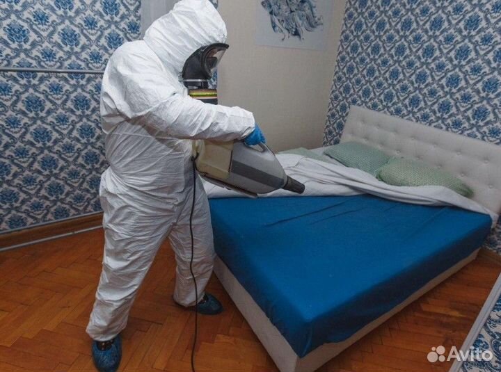 Уничтожение клопов тараканов клещей плесени крыс