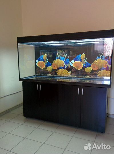 Аквариум 639л. свет, тумба, фон, биофильтр