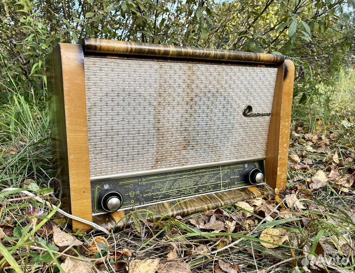 Радиоприемник вэф-аккорд