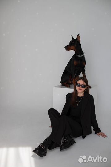 Фотосессия с доберманом