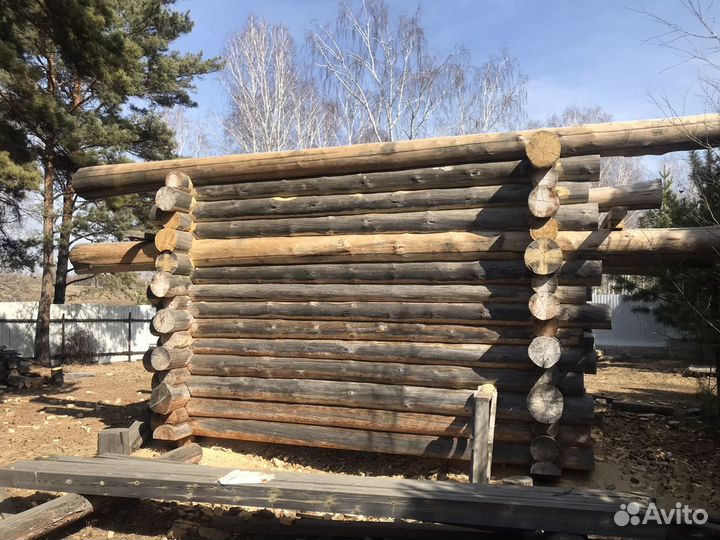 Сруб из дикого бревна