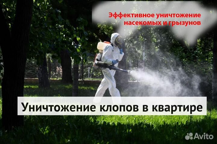 Уничтожение клопов тараканов лечение растений