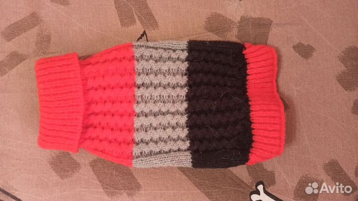 Одежда для щенков и собак