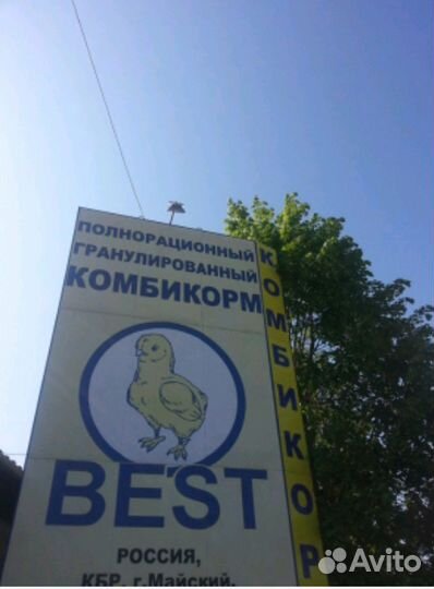 Корм для птиц. Старт. Рост. Несушка. Финиш