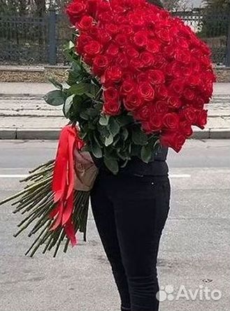 Розы высокие 150 160 170 180 190 200см
