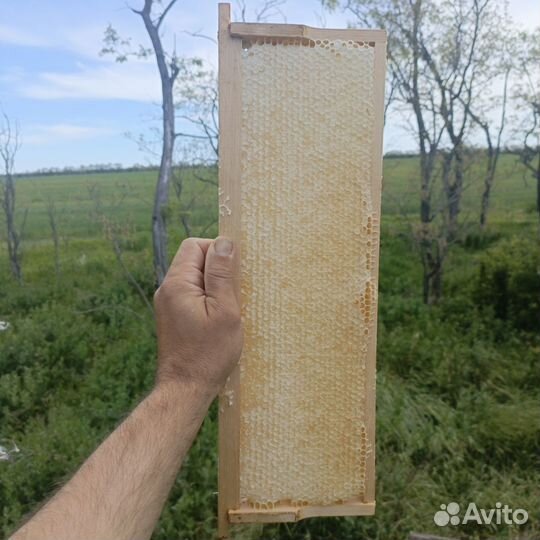 Мёд белой акации