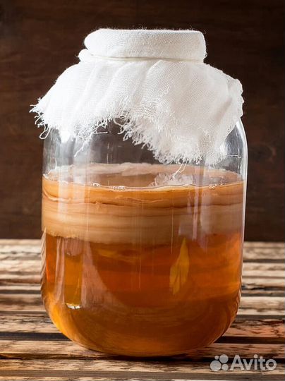 Яблоки, черноплодная, рябина, чайный гриб