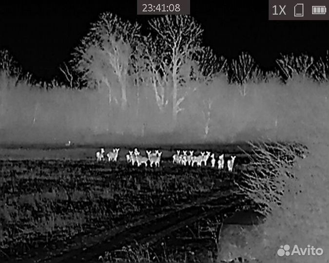 Тепловизионный прицел аркон alpha st 25