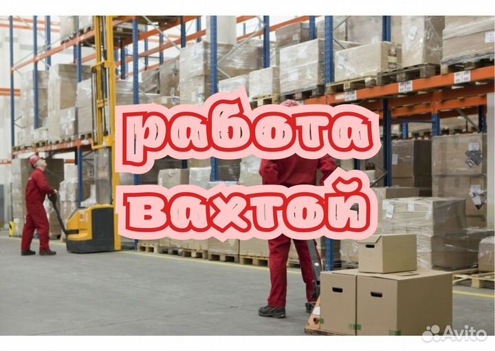 Вахта Москва Упаковщик подарков Бесплатный выезд