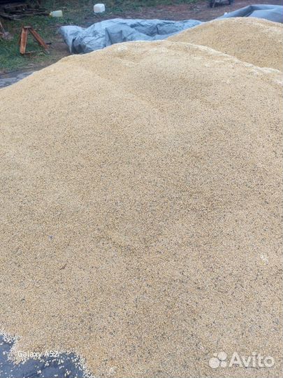 Соя пловинки