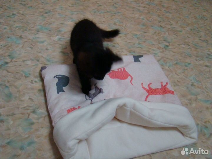 Домик для кошки, собаки и морской свинки