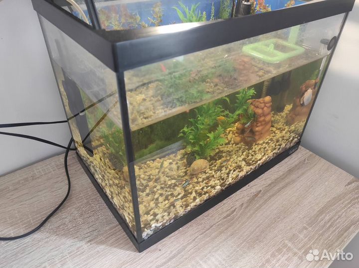 Аквариум с рыбками бу