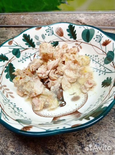 Домашняя тушенка