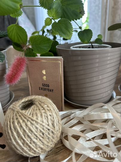 Цветочки к дню учителя