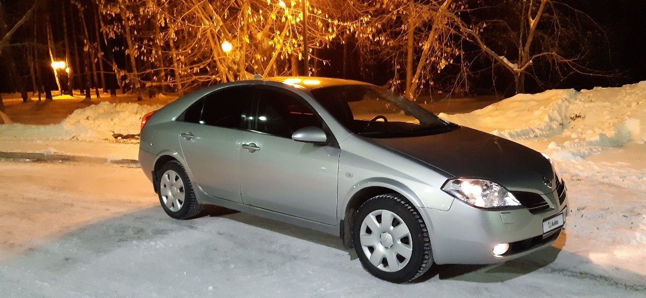 Nissan Primera: фото владельца