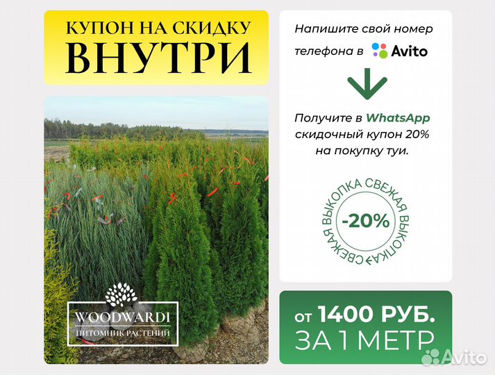 Туя Смарагд 1,5 м