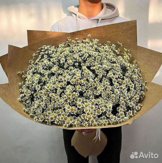 Ромашки Пионы Розы Доставка