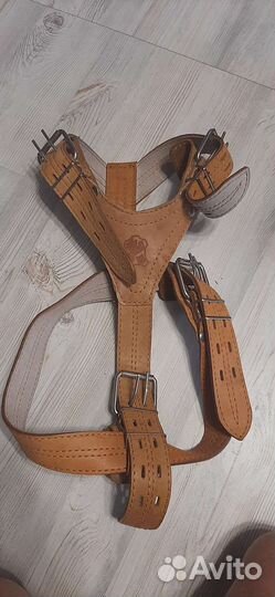 Шлейка для большой собаки