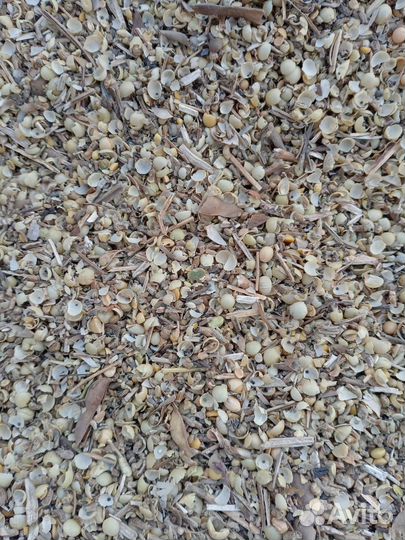 Корм для животных