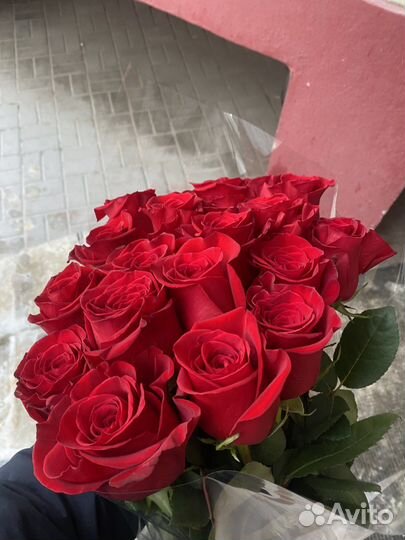 Роза эквадор 60,70,80см