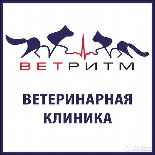 Администратор ветеринарной клиники