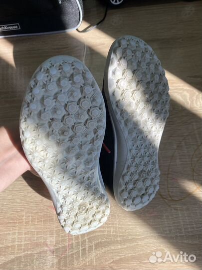 Сороконожки 29