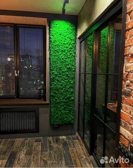 Панно из стабилизированного мха