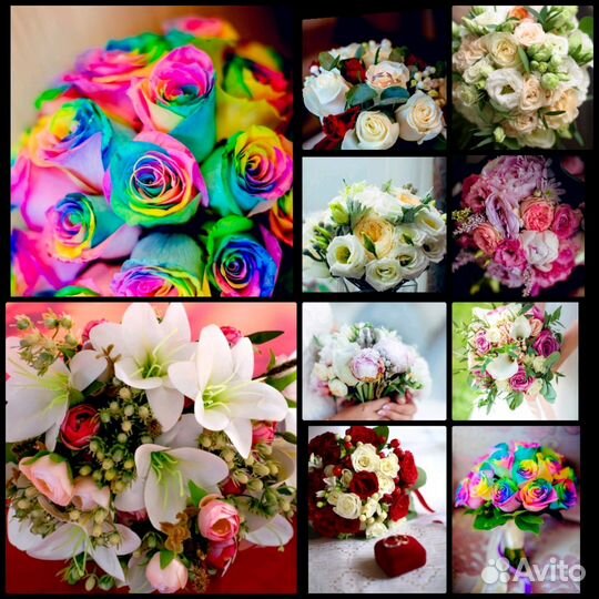 Фото видеосьемка профессионально