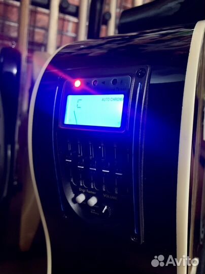 Электроакустика + Чехол