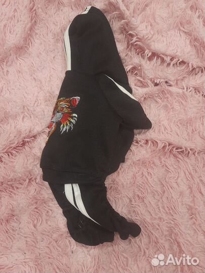 Одежда для маленьких собак