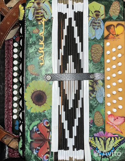 Шуйская гармонь 