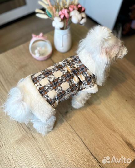 Жилетки теплые для собак