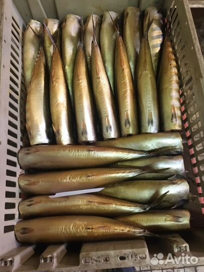 Рыба холодного копчения