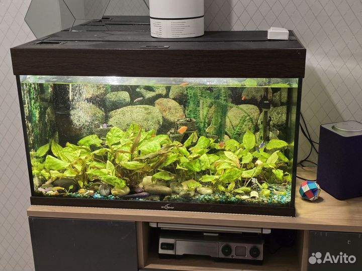 Аквариум на 150 литров