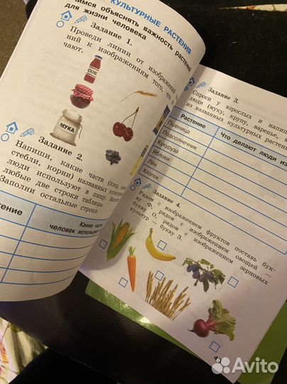 Рабочая тетрадь окружающий мир 2 класс Вахрушев