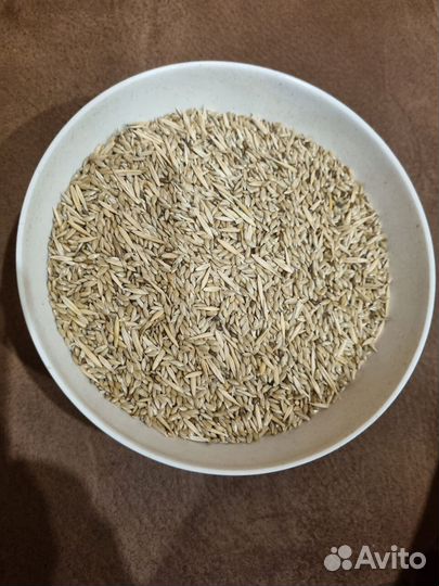 Семя канареечное, корм для диких певчих птиц