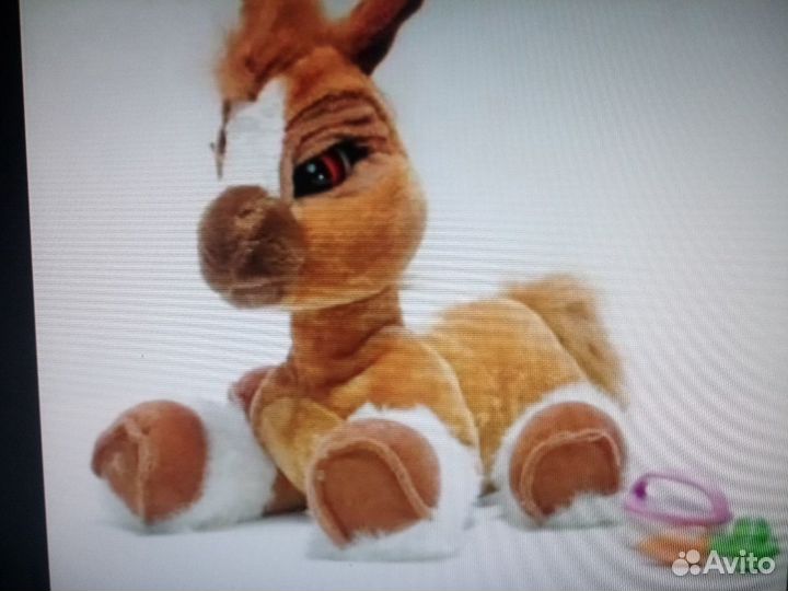 Лошадка Тоффи