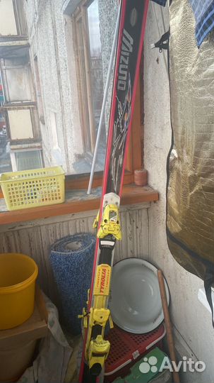 Горные лыжи