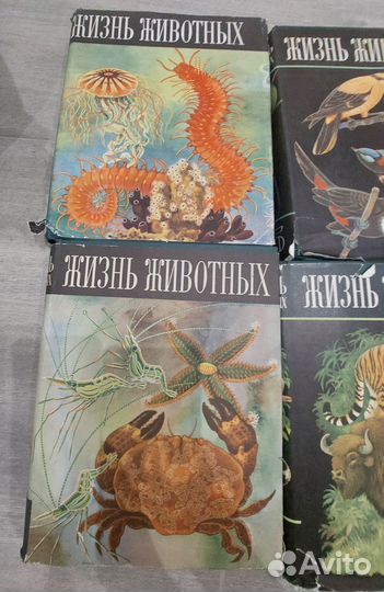 Энциклопедия Жизнь животных