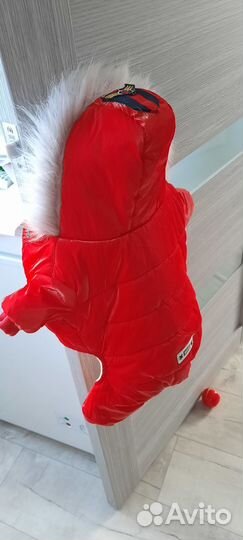 Одежда для собак мелких пород