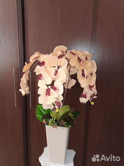 Композиция Орхидея