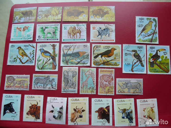 Марки и блоки