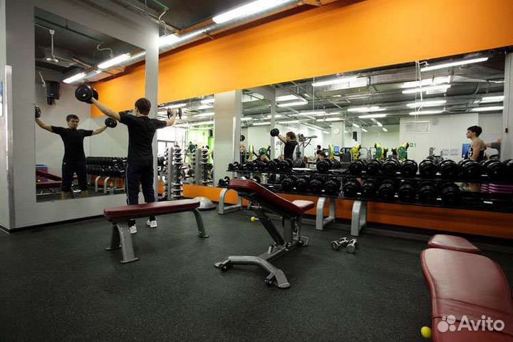 Абонемент на 9 месяцев в Alex Fitness