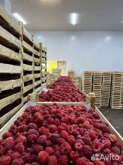 Малина клубника ящиками