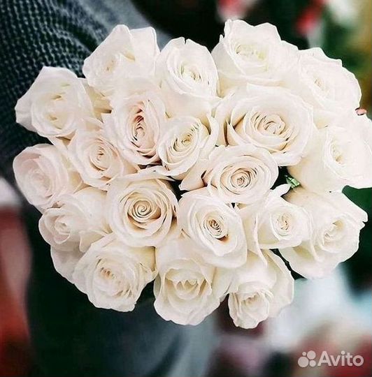 Высокие Розы с Доставкой