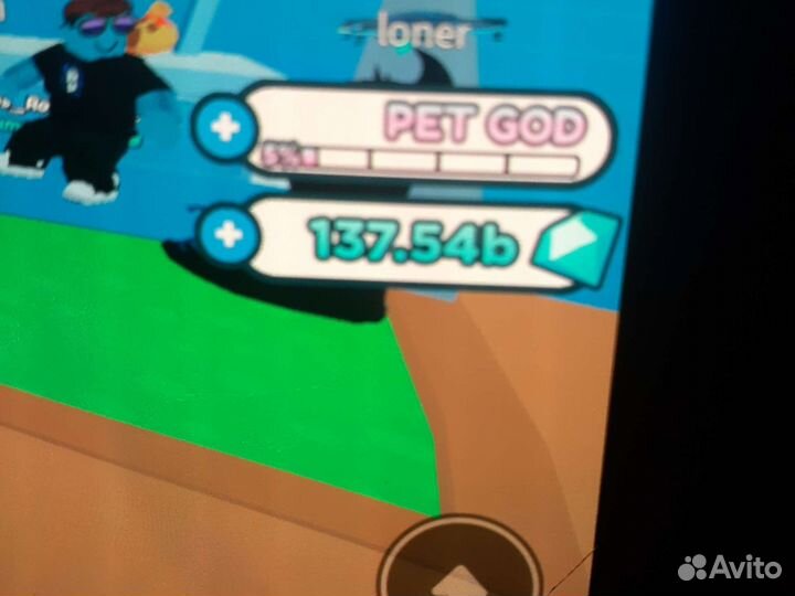Роблокс pets x 137b гемов