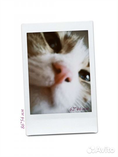 Печать фото instax на заказ polaroid / Fujifilm